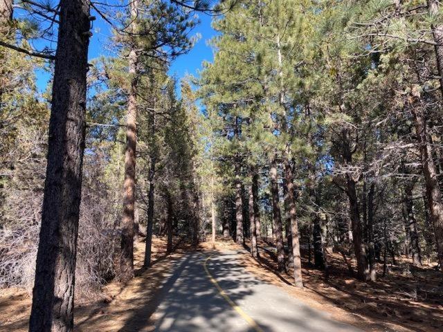 Mountain Memories Villa Big Bear Lake Exterior photo